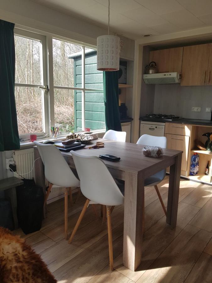 Chalet 2 Pers Met Hottub - Aan De Bosrand - Ijsselmeer - Gaasterland - Bos رايس المظهر الخارجي الصورة