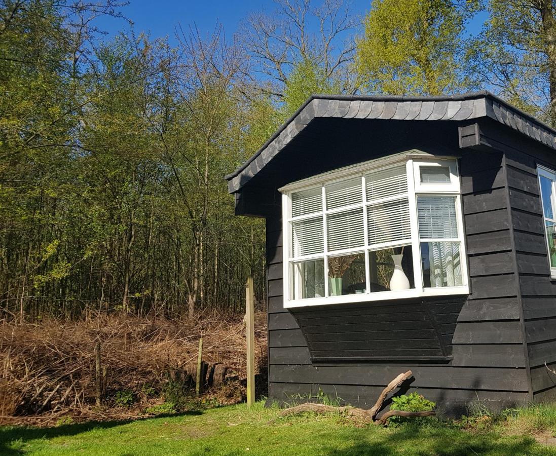 Chalet 2 Pers Met Hottub - Aan De Bosrand - Ijsselmeer - Gaasterland - Bos رايس المظهر الخارجي الصورة